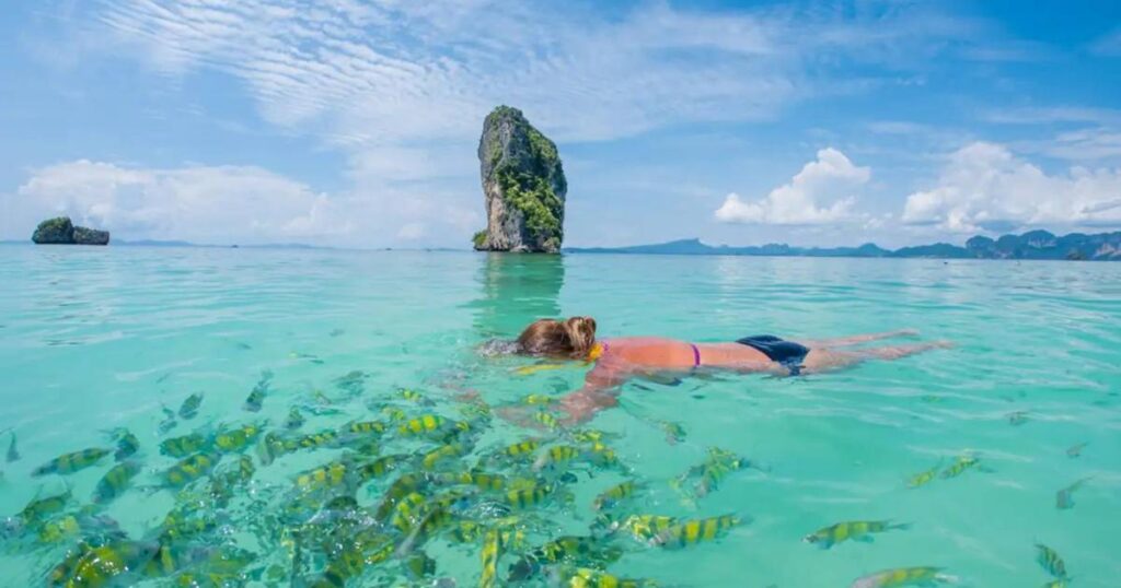 krabi vs samui Experiences