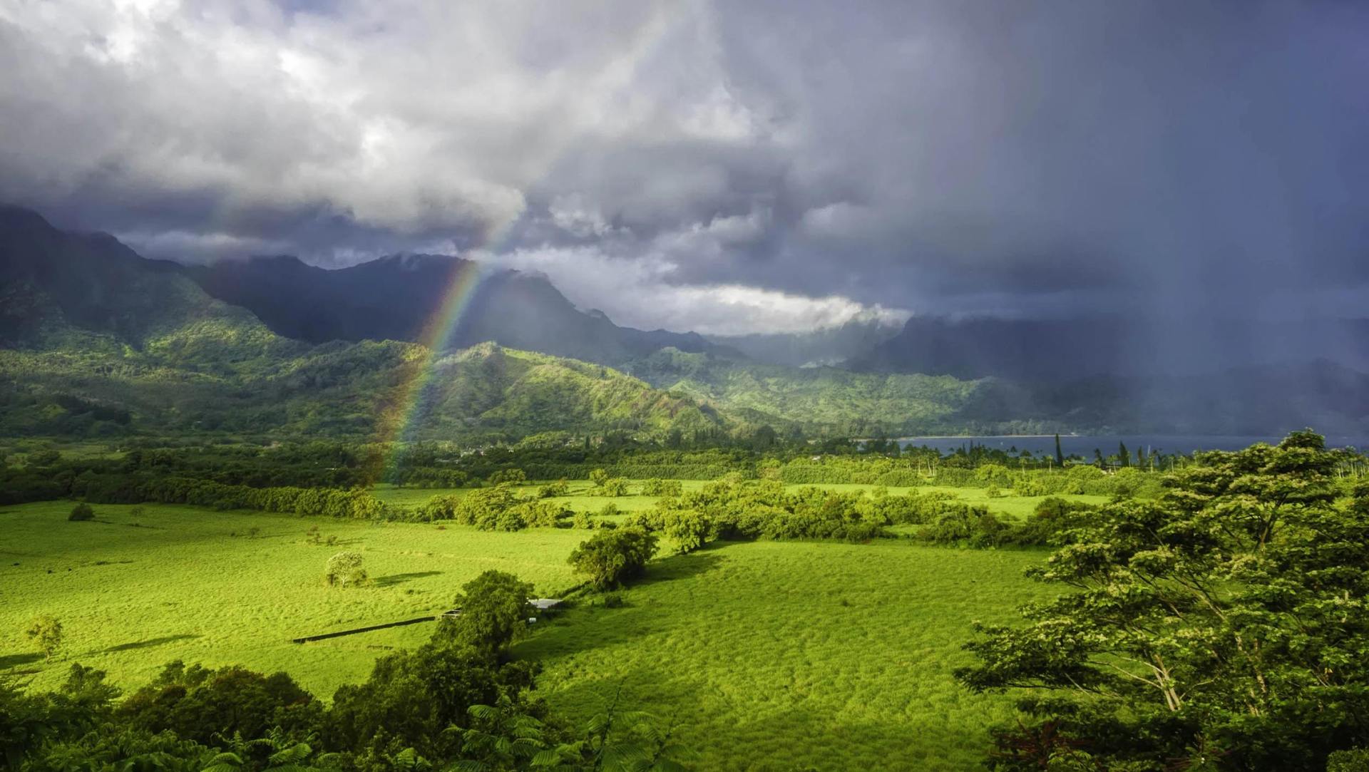 Koh Samui Rainy Season: Weather, Activities, and Travel Tips