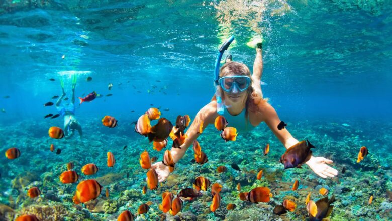 Koh Samui Snorkeling