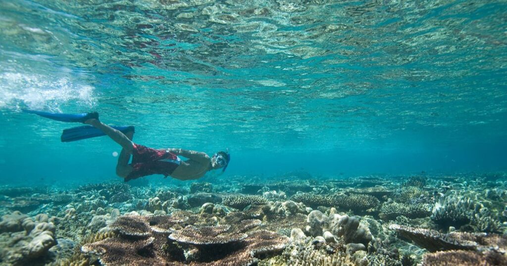 Types of Snorkeling Tours