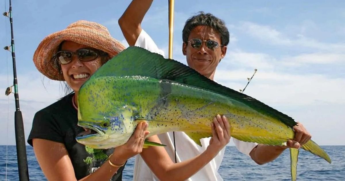 Samui Local Fish Best Fishing Koh Samui: Top Charters for The Best Experience