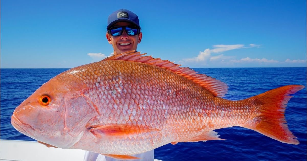 Samui Local Fish Best Fishing Koh Samui: Top Charters for The Best Experience