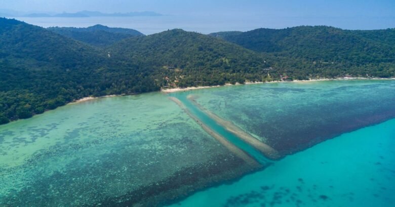 Samui Local Fish Best Fishing Koh Samui: Top Charters for The Best Experience
